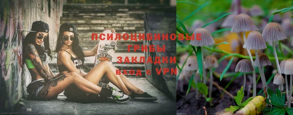 винт Алзамай